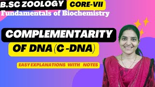 Complementarity of DNA B. Sc Zoology 3rd Semester||Fundamental of Biochemistry||Core -VII #cDNA