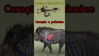 #cacajavalilegalizada #tirocomarco #tirocombalestra #balestra #crossbow #crossbowhunter