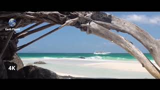 Phi Phi Islands, Thailand || Amazing Places 4k ||