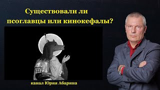 Существовали ли псоглавцы или кинокефалы?