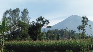 Gunung Sindoro Dan Sumbing Wonosobo