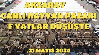 AKSARAY CANLI HAYVAN PAZARINDA FİYATLAR DÜŞÜŞTE