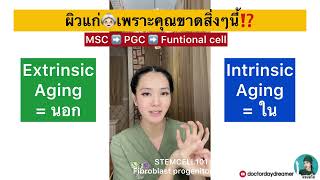 ผิวแก่👵🏻เพราะคุณขาดสิ่งนี้⁉️| DOCTOR DAYDREAMER  #STEMCELL101 ep.43 #FibroblastProgenitorCells