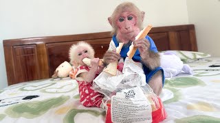 Smart Bibi stole Mom's snacks for the baby monkey to enjoy.