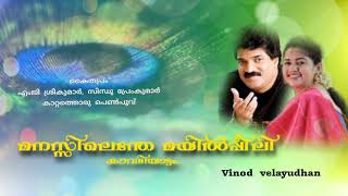 Manassilenthe (കാറ്റത്തൊരു  പെൺപൂവ്‌ )Vinod  velayudhan