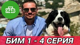 Бим 1,2,3,4 серия