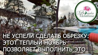 Поздняя обрезка плодовых и ягодных