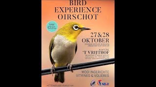 Bird Experience Oirschot op 27/28 oktober 2018.Camera Bird Books & Stuff.