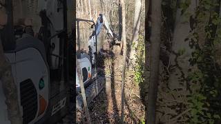 Mini Excavator Opening Beaver 🦫 Dam #bobcat #tractor #excavator #beaverdam