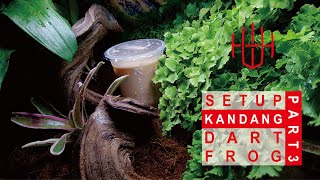 CARA SET UP KANDANG BIO AKTIF DART FROG - HOW TO SET UP DART FROG BIO ACTIVE ENCLOSURE P3