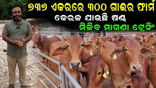 ୭୩୬ ଏକର ଜାଗାରେ ୩୦୦ ଗାଈର ଫାର୍ମ || Odisha's Largest Government Dairy farm. @EfarmingOdisha