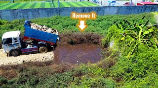 "Land Restoration in Action: How Dozer D20 and Truck 5T Push Stone and Sand into Flooded Areas"