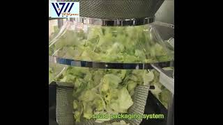 Vegetable salad packaging system-packaging and weighing machine