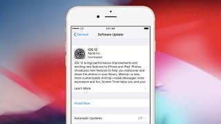 How to disable iOS updates