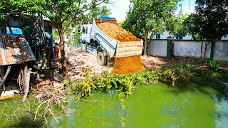 Start a new Project Landfill Delete Pond!! Bulldozer KOMATSU D21A & Trucks 5Ton ​Pouring Soil