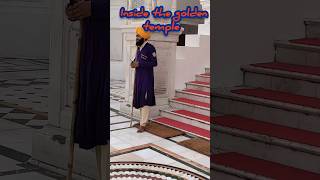 Inside the golden temple #goldentemple #shorts