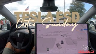 Tesla FSD Costco Sunday - Navigating Busy Parking Lot