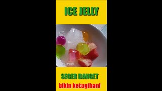 Es Jelly (ice jelly)||membuat es Jelly seger banget #shorts