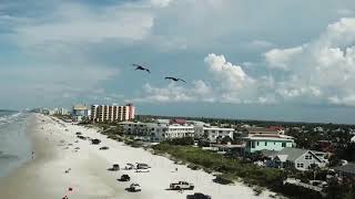 Chasing Pelicans with the Mavic