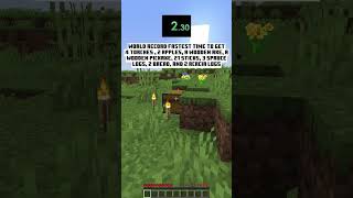 i got this minecraft world record