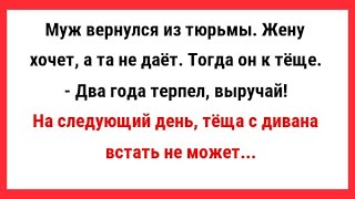 Муж вернулся из тюрьмы. Жену хочет, а та не даёт. Сборник Свежих Анекдотов! Новые Анекдоты! Юмор!