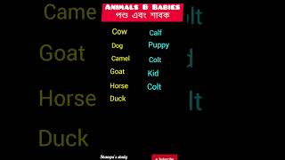 Animals and Babies #পশু এবং শাবক #পশু ও পশুদের  বাচ্চাদের নাম# Shorts #Viral shorts