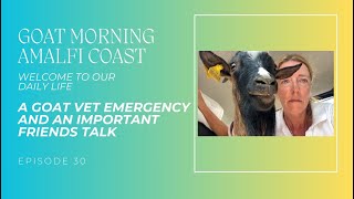 A GOAT VET EMERGENCY AND AN IMPORTANT FRIENDS TALK | Goat Morning Amalfi Coast Ep.30