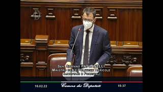 Question Time Ministro Stefano Patuanelli sulle iniziative a sostegno della suinicoltura italiana