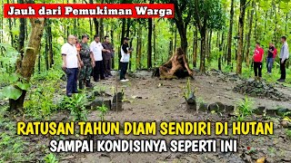 Di Luar Nalar !! Ratusan Tahun Bertapa Hingga Jadi Seperti ini