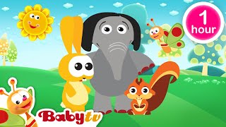 Baby Hood - Playing Football ⚽​ + more BabyTV Classics 📺 | Full Episodes @BabyTV