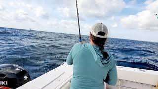 Sailfish catch and release off Singer Island Kayla from Maine