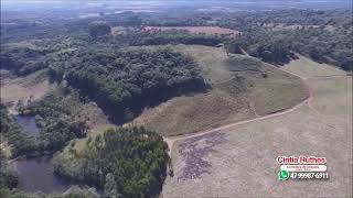 Belíssima FAZENDA À VENDA em Campo Alegre 649.000m2