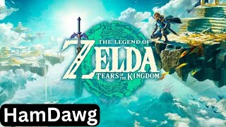 Zelda: Tears of the Kingdom  Playthrough Part 8 - Eldin Regional Phenomena