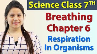 Breathing - Chapter 6 - Respiration in Organisms - Science Class 7th NCERT