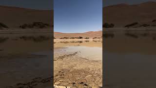 What an oasis looks like 🇳🇦 #sossusvlei  #namibia #desert