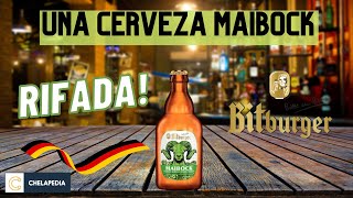 Cerveza alemana Bitburger Maibock .Todo un clásico de temporada 🍻😎