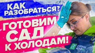 ГОТОВИМ РАСТЕНИЯ К ЗИМЕ! Чем обработать сад сейчас?