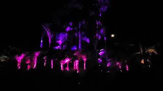 Alight - Light / sound Art Installation at Festival Of Lights 2024