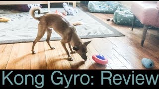 Kong Gyro | Dog Toy Review