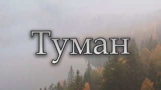 Сергей Одинцов - Туман