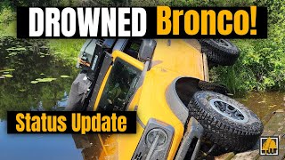 Drowned Bronco! Status Update