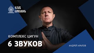 Комплекс цигун "6 звуков": Гармония и баланс внутренних органов. Андрей Аралов.