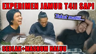 🔴EXPERIMEN Makan JAMUR T4ii SAPI (MASRUM HALU)