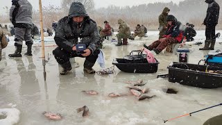 ТУТ ЗБИЛАСЬ ВСЯ РИБА, Клює один за одним, Рибалка на карася та коропа