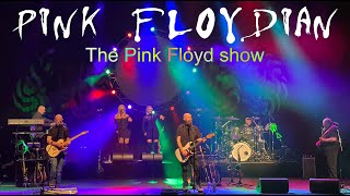 Run Like Hell - Pink Floyd cover performed by Pink Floydian