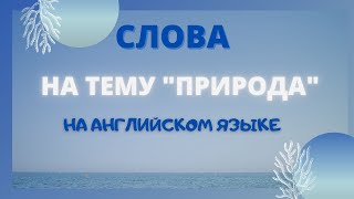 АНГЛИЙСКИЕ СЛОВА НА ТЕМУ "ПРИРОДА" С ПЕРЕВОДОМ,КАРТИНКАМИ