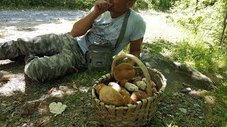 Porcini 2017 un Giugno caldo e pieno di....