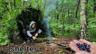 the camp alone built a shelter from the rain. i pick berries