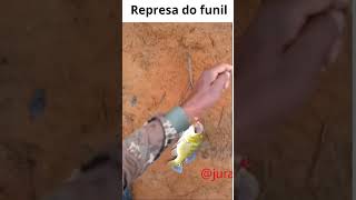 #PESCARIA  #REPRESA DO FUNIL  #fishing #pesca #tucunaré #shorts#iscaartificial