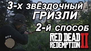 Где найти медведя ГРИЗЛИ/Превосходная шкура/Red Dead Redemption 2.